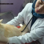 Mengenal Profesi Dokter Hewan